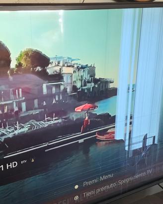 Smart tv samsung 40 e Lg 55 polli
