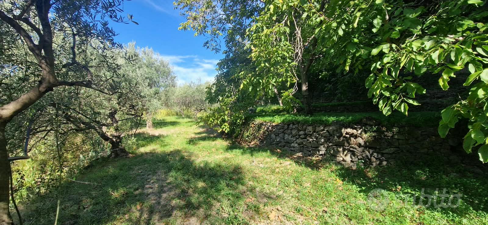 GOLE ALCANTARA terreno agricolo 1 ettaro - Vista 5