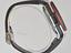 Immagine 11