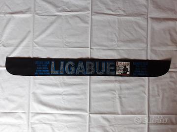 Fascia tour ligabue 2010