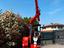 Immagine 7