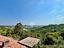 Immagine 14