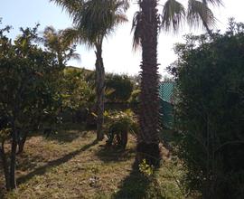 Affitto casa con terreno zona San Leone-Agrigento