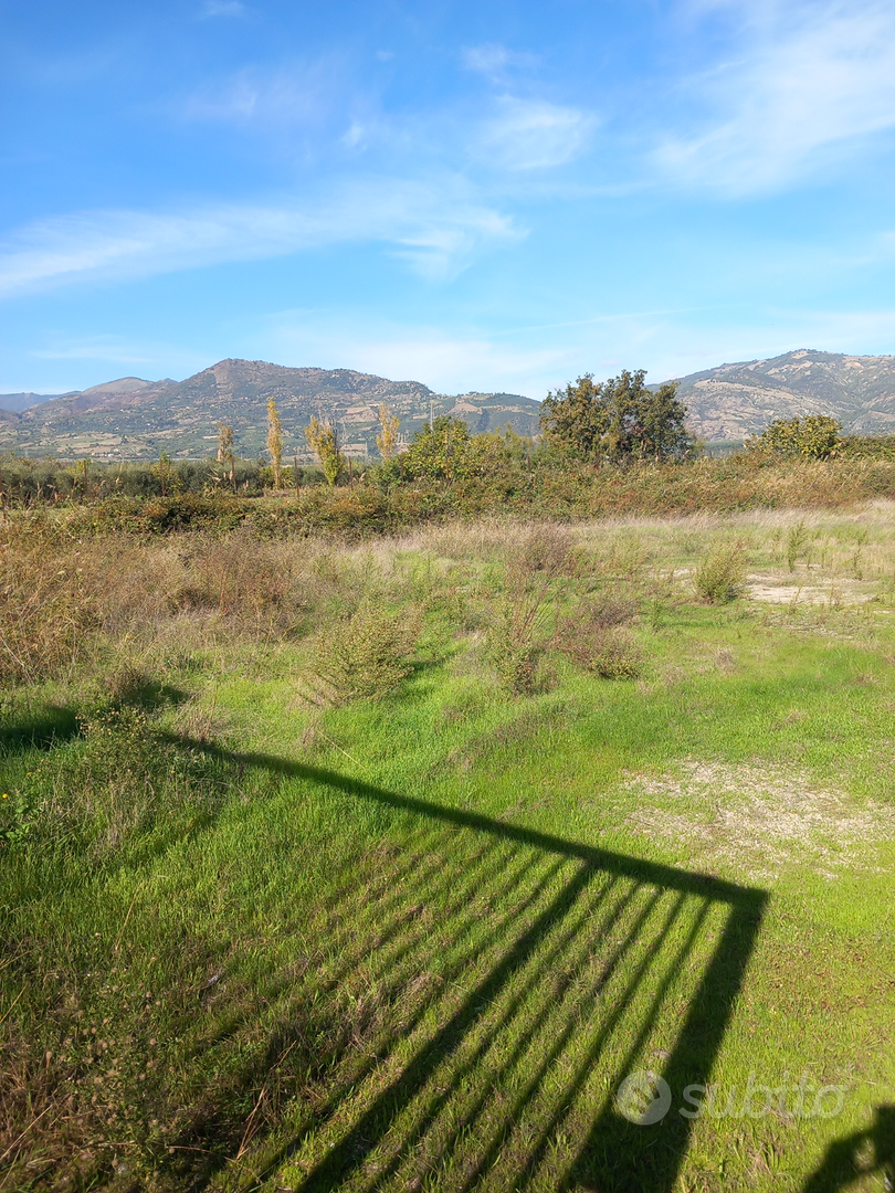 Terreno più capannone - Vista 3