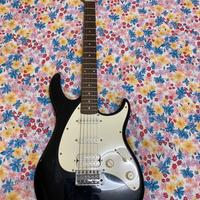 Chitarra elettrica Peavey Raptor Plus