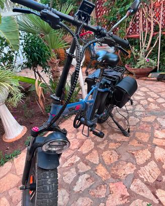 Bici elettrica 