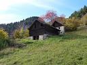 rustico-casale-corte-trasquera-trariz1017vrg-