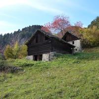 Rustico/Casale/Corte Trasquera [TraRiz1017VRG]