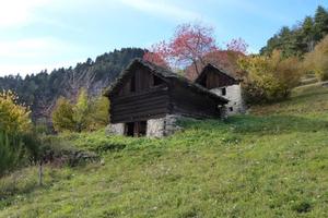 Rustico/Casale/Corte Trasquera [TraRiz1017VRG]