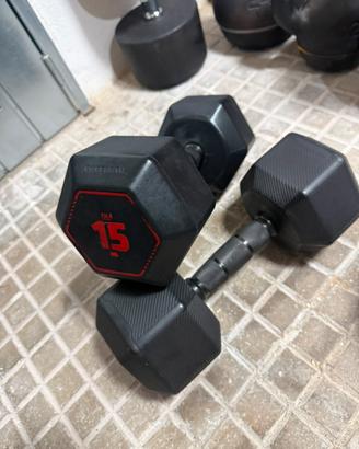 Manubri 15kg