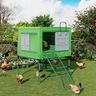 pollaio-per-galline-loft
