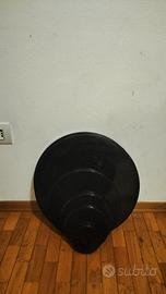 Dischi palestra 