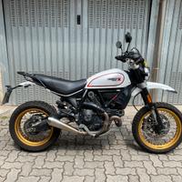 Ducati Scrambler desert sled white mirage