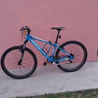 bicicletta  mtb