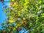 Immagine 28