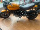 ducati-scrambler-1100-tribute