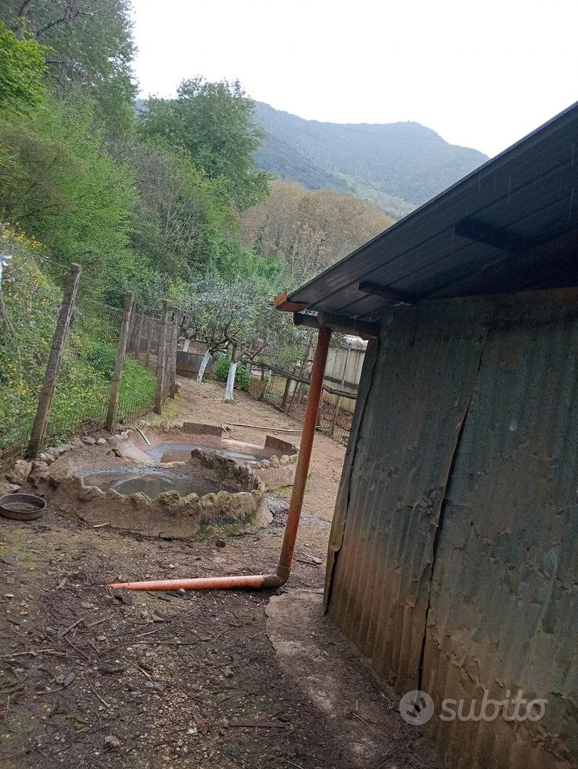 Terreno agricolo - Vista 2