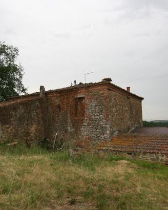 CL118 - Antico casale in pietra con terreno e anne