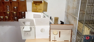 Nidi per varie specie di esotici