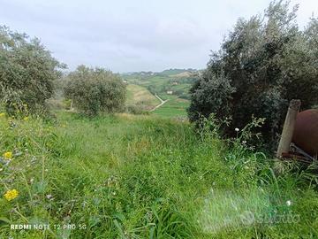 Terreno a Macerata - Periferia