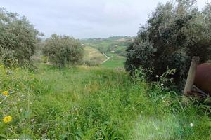 Terreno a Macerata - Periferia