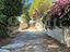 Immagine 20