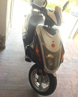 MOTOM GIPSY 50