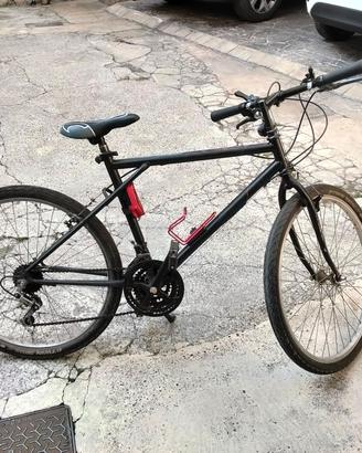 bici mtb