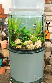 acquario mobile 