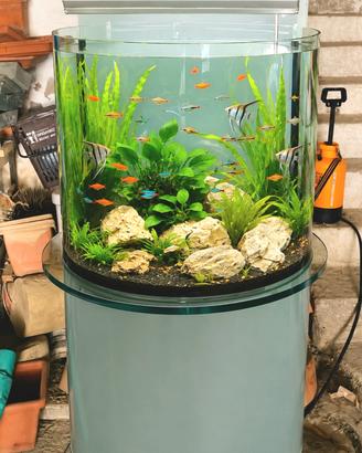 acquario mobile 