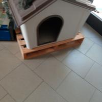 cuccia per cane