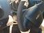 Immagine 5