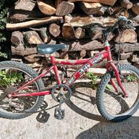 Bicicletta 20 da bimbo