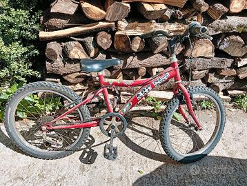 Bicicletta 20 da bimbo