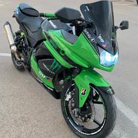 Kawasaki Ninja ZX 250 R