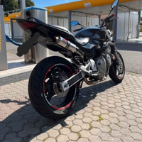 Honda hornet