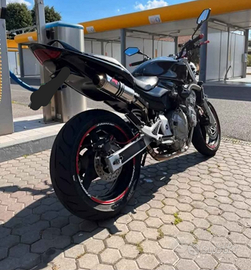 Honda hornet