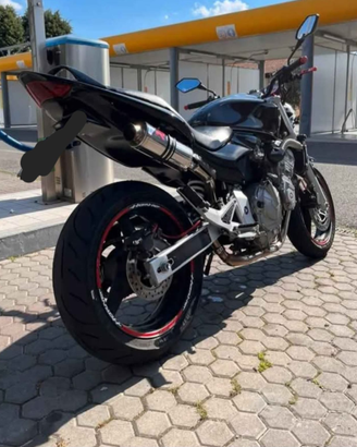 Honda hornet