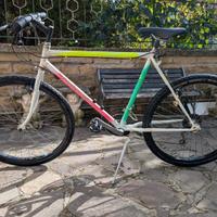 Mountain bike Girardengo bicicletta