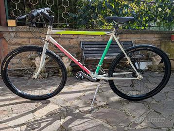 Mountain bike Girardengo bicicletta