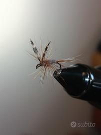 Pesca a mosca