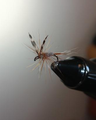 Pesca a mosca