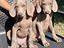 Immagine 3