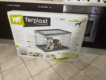 Kennel cane