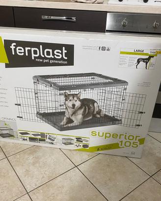 Kennel cane