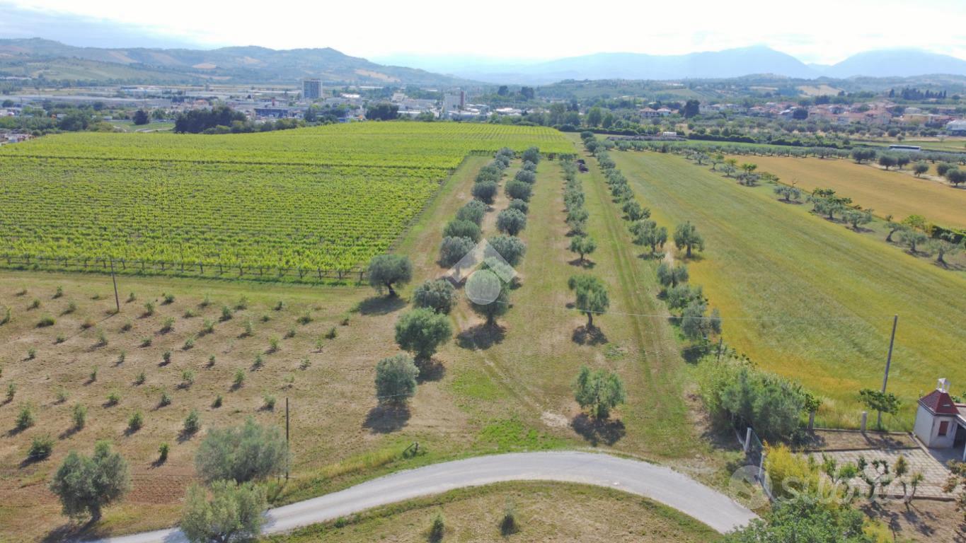 TERRENO A MOSCIANO SANT'ANGELO - Vista 5
