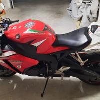 HONDA CBR 1000 RR FIREBLADE 2012