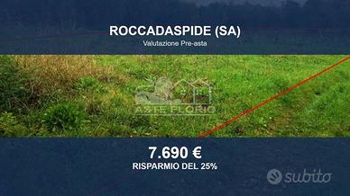 Immobile in asta di 3195 m² a Roccadaspide