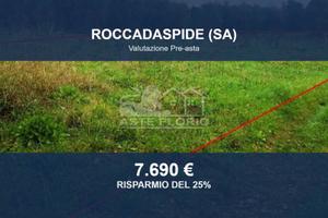Immobile in asta di 3195 m² a Roccadaspide