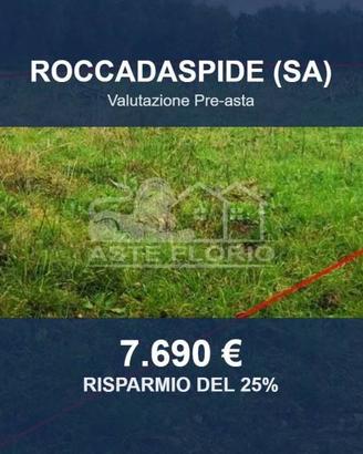 Immobile in asta di 3195 m² a Roccadaspide